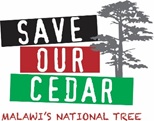 SaveOurCedar