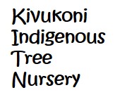 Kivukoni Indigenous Tree Nursery